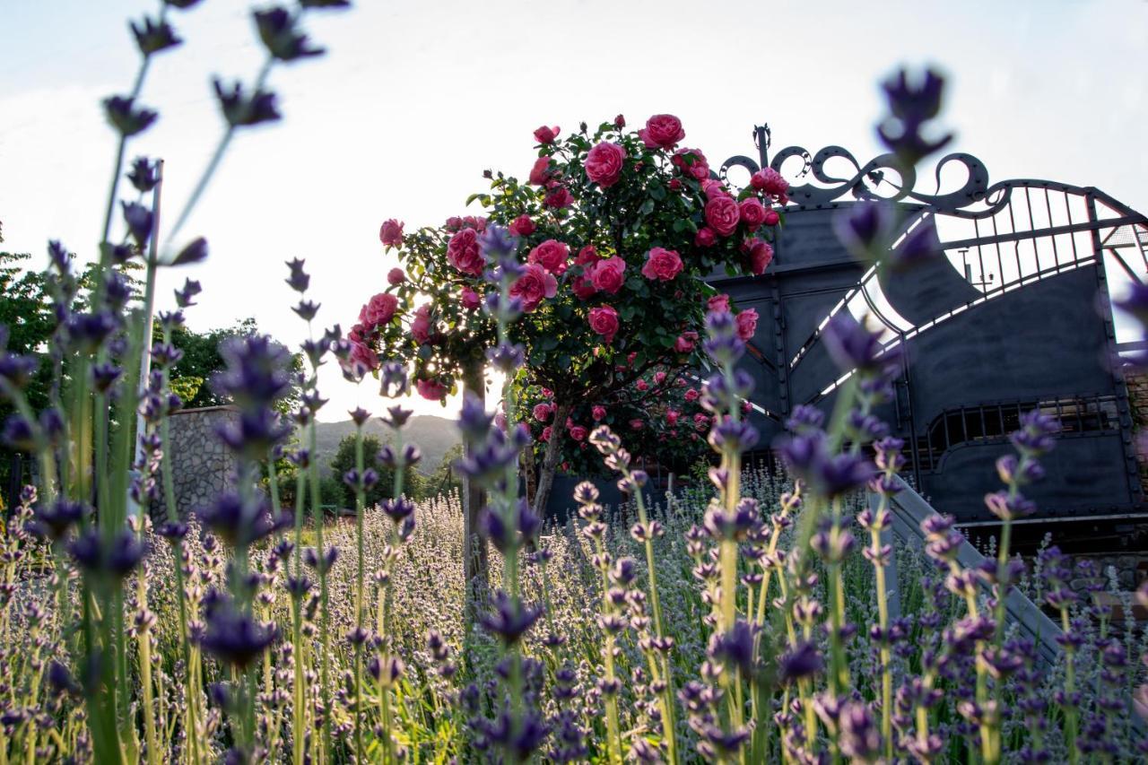 Gorodok Villa Myhove Buitenkant foto